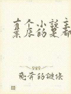 有个小说主角叫叶辰的是都市什么小说