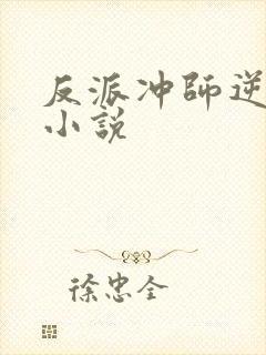 反派冲师逆徒的小说