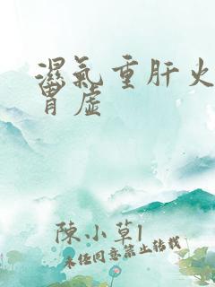 湿气重肝火旺脾胃虚