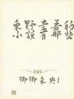 东野圭吾的长篇小说有哪些