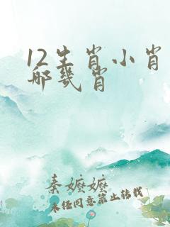 12生肖小肖是哪几肖