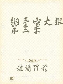 纲手吃大狙动画第三季