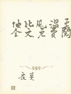 他比风温柔小说全文免费阅读