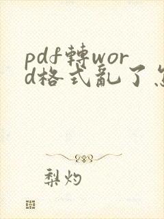 pdf转word格式乱了怎么调整