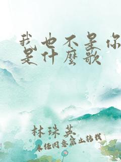 我也不是你的谁是什么歌