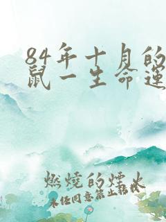 84年十月的女鼠一生命运