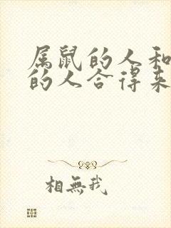 属鼠的人和属羊的人合得来吗