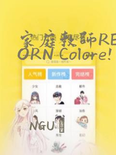 家庭教师REBORN Colore! 画集