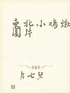 东北小鸡炖蘑菇图片
