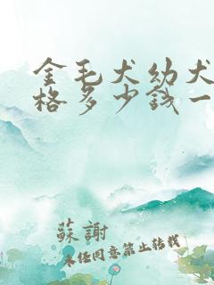 金毛犬幼犬的价格多少钱一只