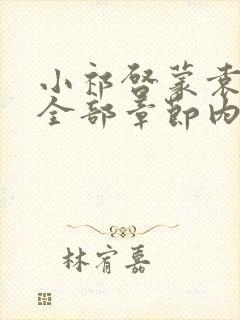 小祁启蒙袁老师全部章节内容是什么