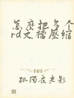 怎么把多个word文档压缩成压缩包