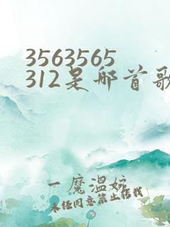 3563565312是哪首歌的歌词