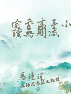 偷香高手小说阅读无删减
