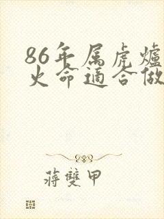 86年属虎炉中火命适合做什么生意