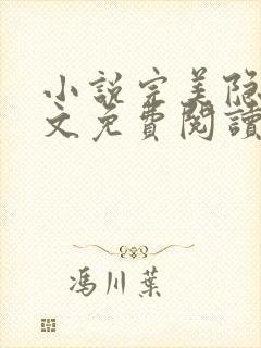 小说完美隐婚全文免费阅读