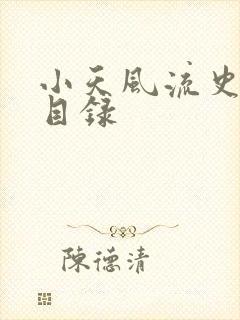小天风流史小说目录