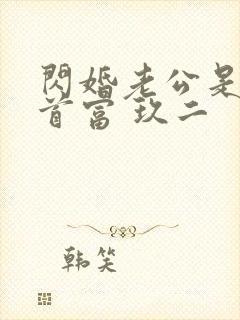 闪婚老公是千亿首富 玖二