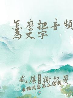 怎么把音频转化为文字