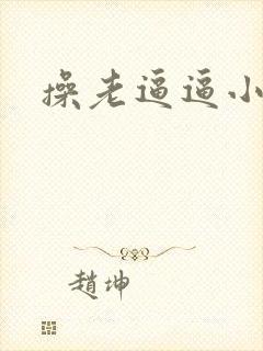 操老逼逼小说