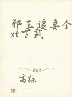 邪王追妻全文txt下载