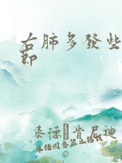 右肺多发些肺结节