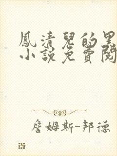 凤清儿的黑暗复小说免费阅读
