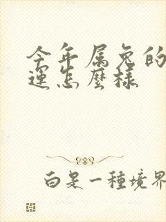 今年属兔的人财运怎么样
