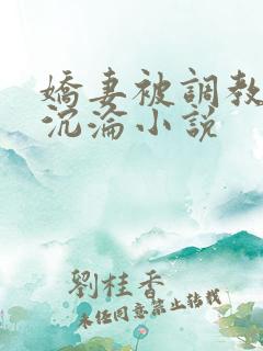 娇妻被调教开发沉沦小说