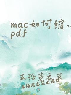 mac如何缩小pdf