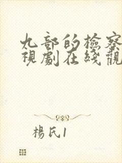 九部的检察官电视剧在线观看免费版
