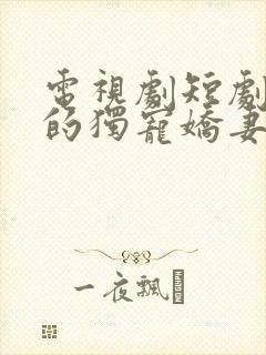 电视剧短剧你懂的独宠娇妻