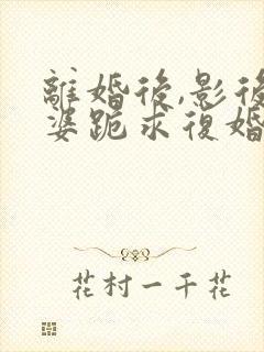 离婚后,影后老婆跪求复婚小说完整免费