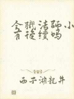 全职法师小说还有后续吗