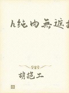 h纯肉无遮挡