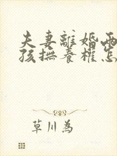 夫妻离婚两个小孩抚养权怎么判定