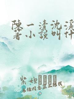 陈一清沈溪桐原著小说叫什么