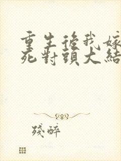 重生后我嫁给了死对头大结局