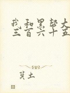 我和黑帮大佬的三百六十五天第二