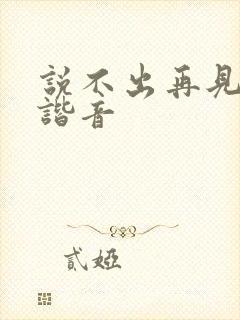 说不出再见歌词谐音