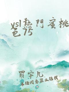 ysl热门蜜桃色75