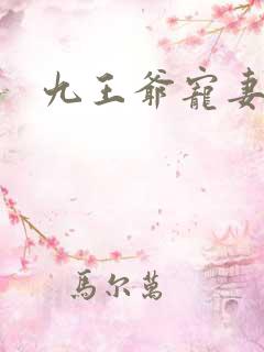 九王爷宠妻如命