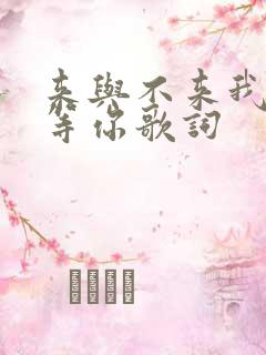 来与不来我都在等你歌词