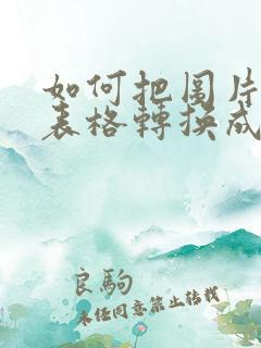 如何把图片中的表格转换成word表格