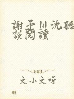 谢予川沈听晚小说阅读