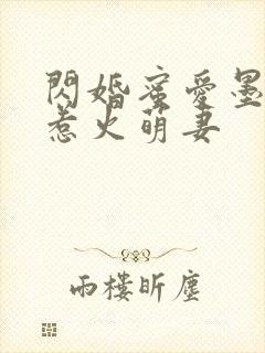 闪婚蜜爱墨少的惹火萌妻