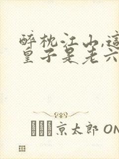醉枕江山,这个皇子是老六全文免费下载