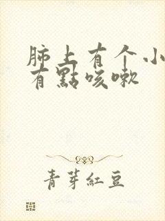 肺上有个小结节有点咳嗽