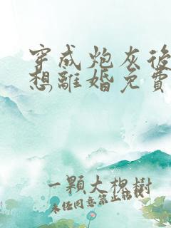 穿成炮灰后我只想离婚免费阅读小说