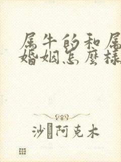 属牛的和属马的婚姻怎么样